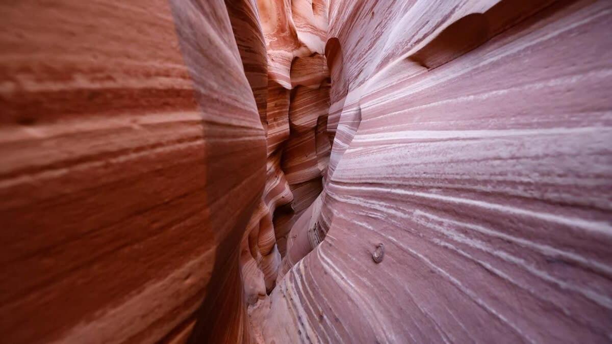 Вилла Escalante Escapes Tumble Weed- Bunk Escape Экстерьер фото